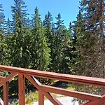 борови хълмове Pamporovo