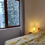 борови хълмове Apartment *