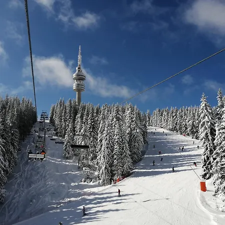 борови хълмове * Пампорово