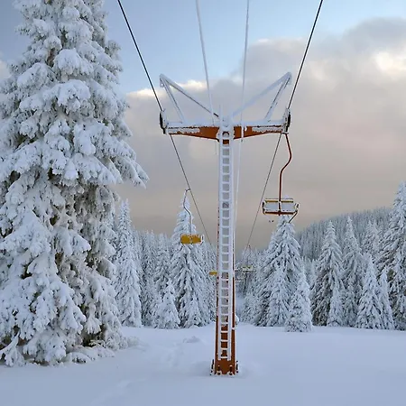 борови хълмове Apartment