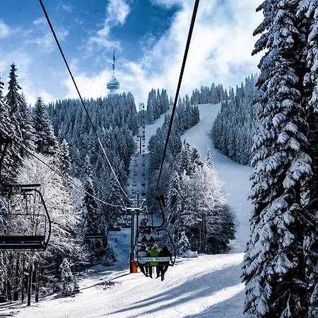 Apartment борови хълмове Pamporovo