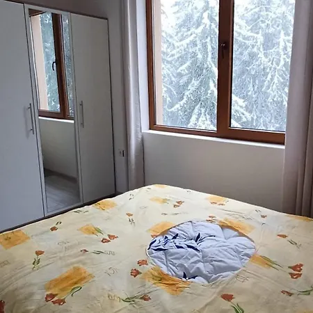 борови хълмове Apartment *