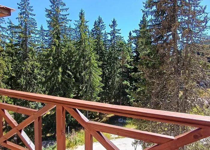 борови хълмове Pamporovo