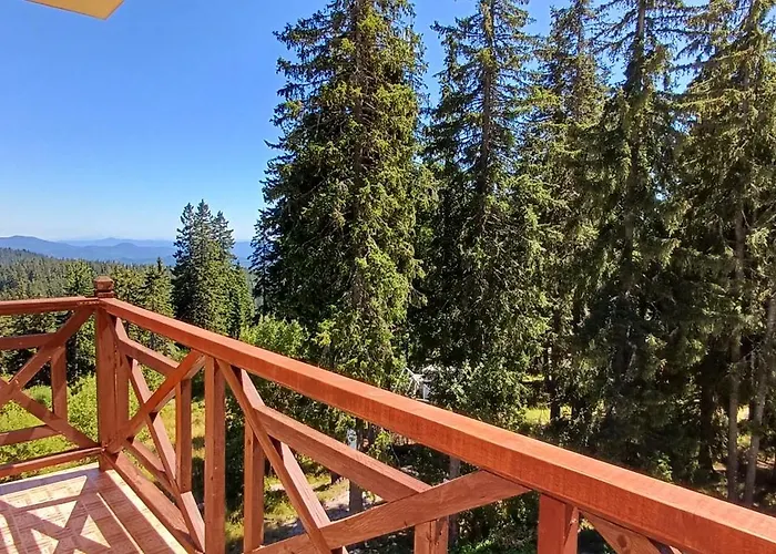 борови хълмове *