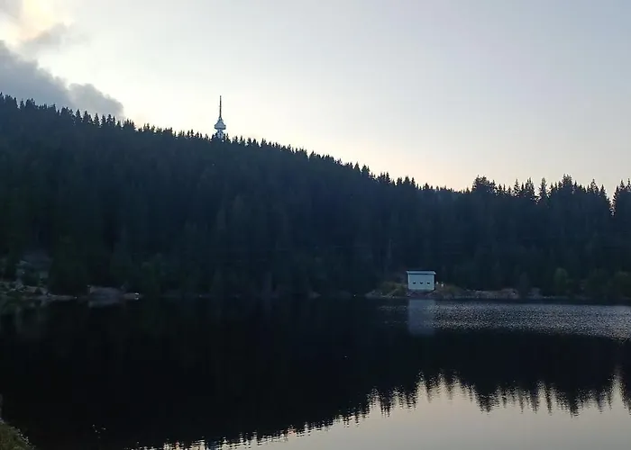 Апартамент борови хълмове Пампорово