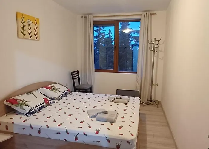 борови хълмове Апартамент *