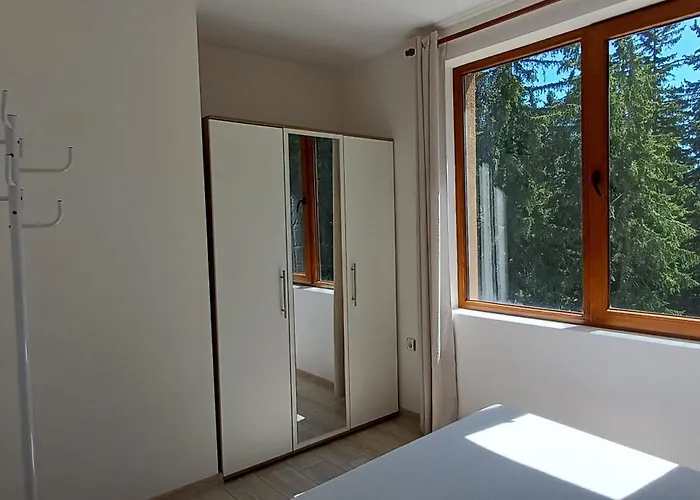 борови хълмове Пампорово