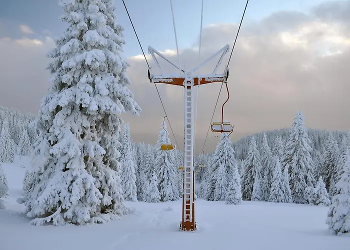 борови хълмове Апартамент