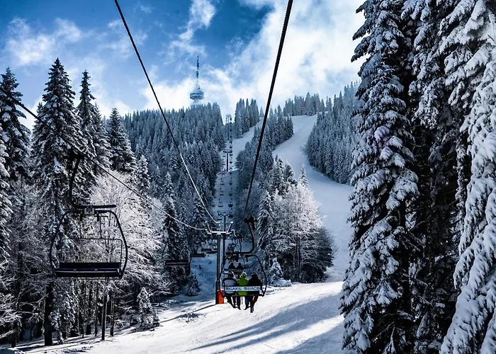 Apartment борови хълмове Pamporovo