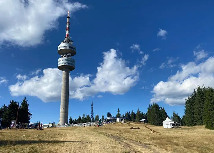 борови хълмове Апартамент *