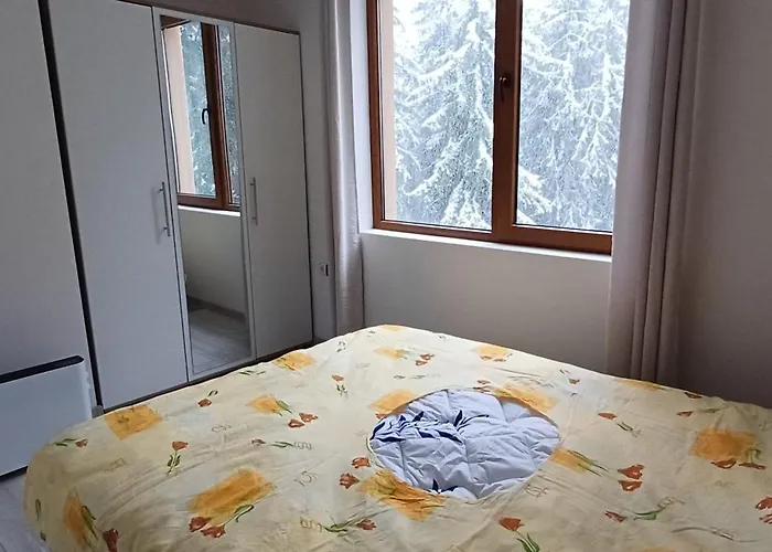 борови хълмове Apartment *