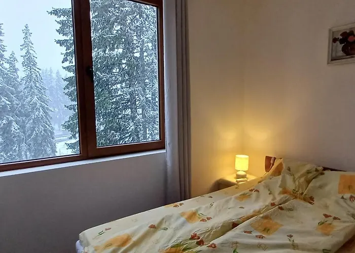 борови хълмове Апартамент *